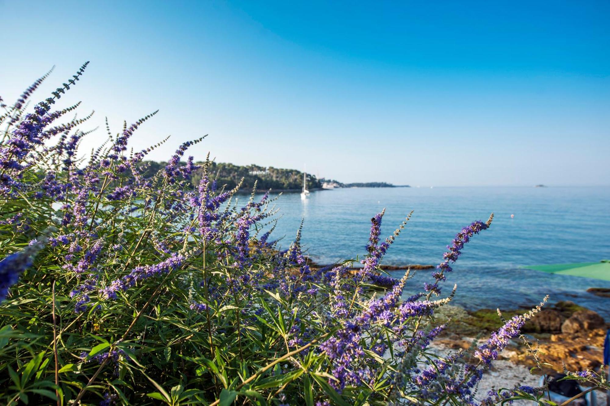 Apartments & Room Anita Rovinj Kültér fotó